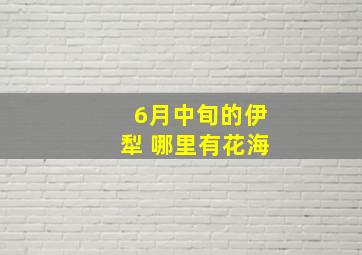 6月中旬的伊犁 哪里有花海